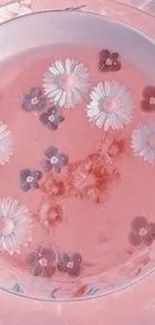 Pink floral wallpaper with daisies floating in soft hues.