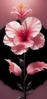 Vivid pink hibiscus flower against dark background wallpaper.