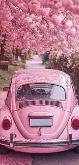 Charming pink vintage car with cherry blossoms overhead.