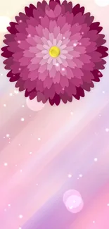 Pink floral wallpaper with a central bright flower and pastel background.