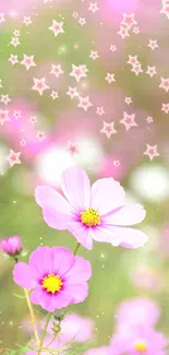 Pink cosmos flowers with starry background on mobile wallpaper.