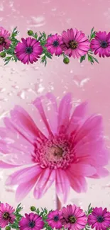 Elegant pink floral wallpaper with blossoms and droplets.