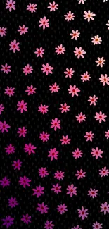 Dark background with pink flowers scattered elegantly.