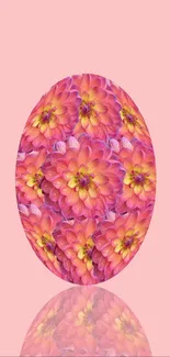 Mobile wallpaper with pink floral design and dahlia flowers.