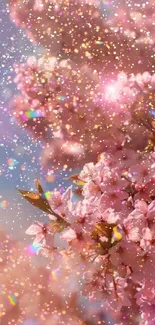 Sparkling cherry blossoms with sunlight gleam.