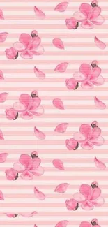 Pink orchid floral wallpaper with soft stripes.