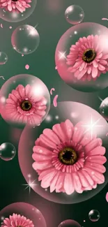 Pink flowers in transparent bubbles on a dark background.