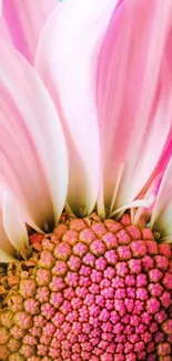 Close-up of a pink flower with delicate petals.