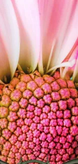 Close-up of a vibrant pink flower with detailed petals.