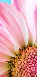 Close-up of a vibrant pink flower, ideal for mobile wallpaper.