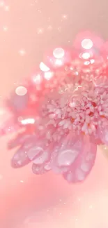 Close-up of a pink flower with dew on petals, in soft focus.