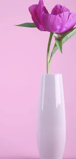 Elegant pink flower in a white vase against a soft pink background.