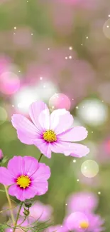 Delicate pink flowers in a serene nature setting on mobile wallpaper.