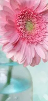 Pink flower in vase mobile wallpaper with soft tones.