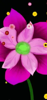 Vibrant pink flower on black background wallpaper.