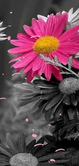 Vibrant pink flower amidst black and white flowers, creating striking visual contrast.