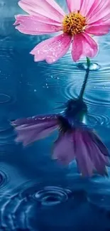 Pink flower reflecting on rippling blue water.