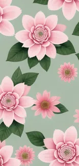 Elegant pink flower pattern on a green background wallpaper.