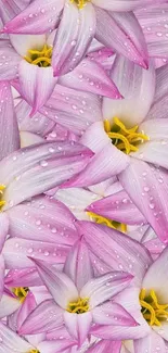 Close-up view of pink flower petals with water droplets.