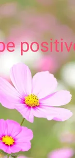 Pink flower wallpaper with 'be positive' message.