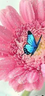 Vibrant pink flower with blue butterfly wallpaper.