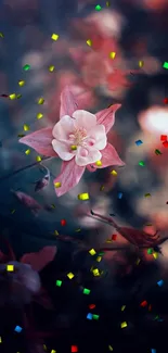 Pink flower with colorful confetti on a dark background wallpaper.