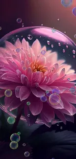 Pink flower with dewdrops in delicate bubble on a mobile wallpaper.