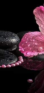 Pink flower and zen stones on reflective surface.