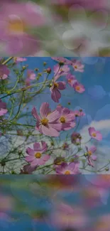 Pink flowers with green stems against a clear blue sky.