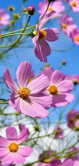 Pink flowers bloom under a vibrant blue sky, creating a serene mobile wallpaper.