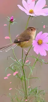 Mobile wallpaper with pink flowers and a bird.