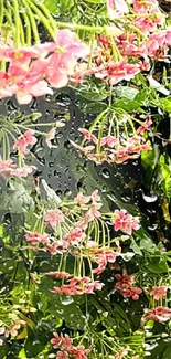 Pink flowers with green leaves wallpaper.