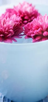 Vibrant pink flowers float in a blue bowl.