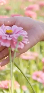 A serene hand holds a pink flower in a spring garden background.