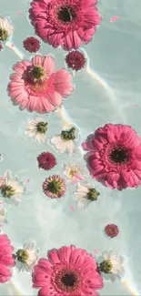 Pink flowers floating on clear water with a wavy texture.