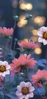 Pink flowers with bokeh lights in background.