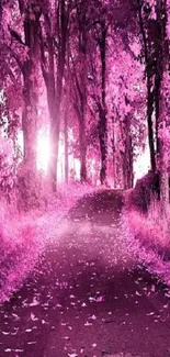 Pink forest path with vibrant trees and sunlight.