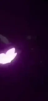 Glowing pink butterfly on dark background wallpaper.