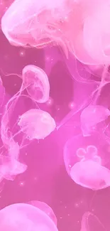 Pink jellyfish floating in a vibrant sea background.