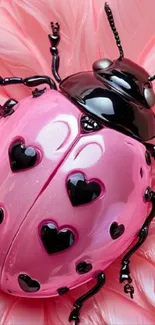 Pink ladybug with hearts on a soft feather background.