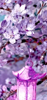 Pink lantern among cherry blossoms, vibrant and serene.