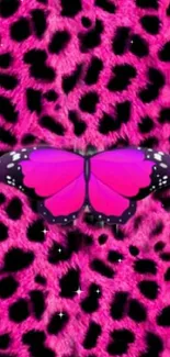 Pink leopard print with a vibrant butterfly.