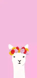 Pink wallpaper with a llama wearing a floral crown.