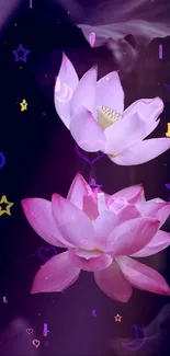 Pink lotus flowers with stars on a purple background.