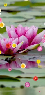 Pink lotus flowers with colorful blossoms on a serene pond.