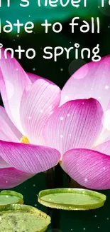 Pink lotus flower with motivational quote, perfect for spring wallpaper.