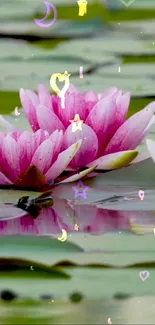 Pink lotus flowers on water with serene reflections.