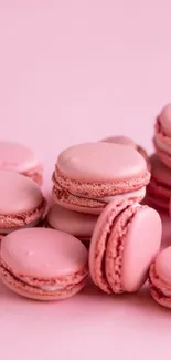 Pink macarons stacked on a pastel pink background, offering a sweet aesthetic.