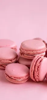 Pink macarons arranged against a pastel background.