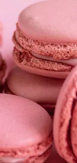 Close-up of pink macarons beautifully stacked in a pleasing arrangement.